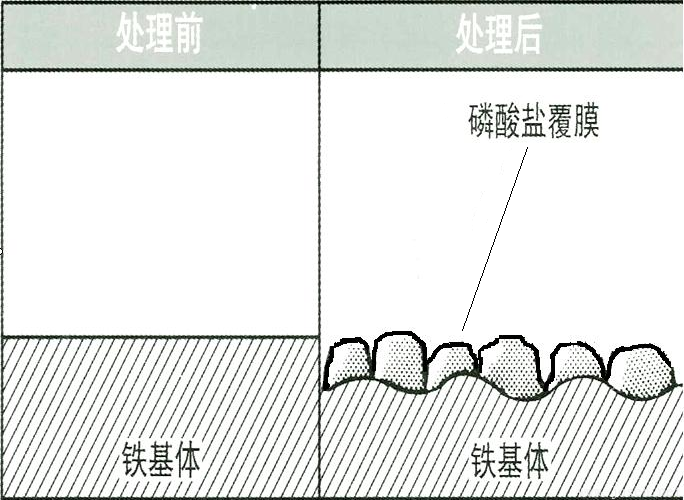 a)磷化膜的生長(zhǎng)示意圖.png