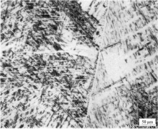 圖1-18 TA7合金α相區(qū)1170℃30’水淬處理，快冷形成的馬氏體.png