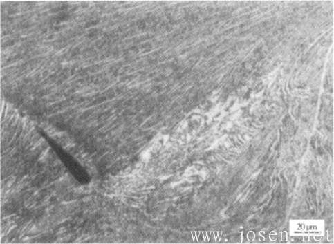 圖1-71 BT20鑄態(tài)經(jīng)熱壓縮，變形條件.png