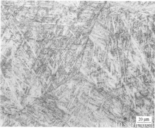 圖1-38 Ti600合金β相區(qū)處理.png